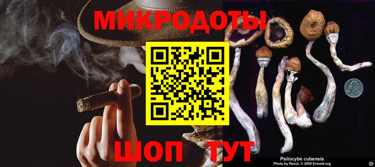 Домодедово  Псилоцибиновые грибы Psilocybine cubensis  Вход с VPN 